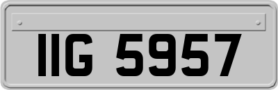 IIG5957