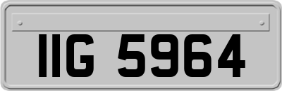 IIG5964