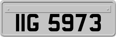 IIG5973