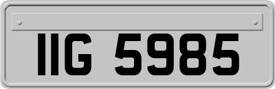 IIG5985