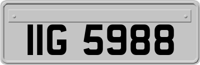 IIG5988