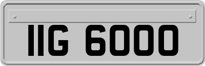 IIG6000