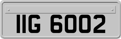 IIG6002