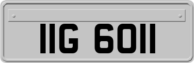 IIG6011