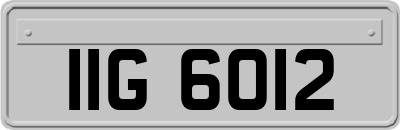 IIG6012