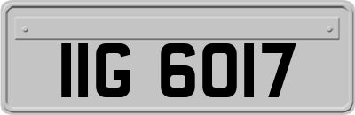 IIG6017