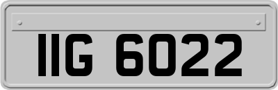 IIG6022
