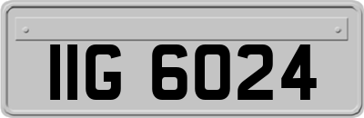 IIG6024