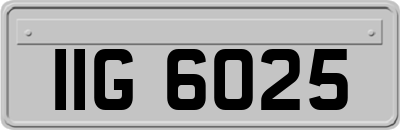 IIG6025