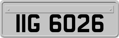IIG6026
