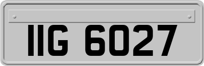 IIG6027