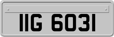 IIG6031