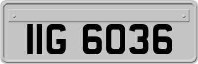 IIG6036