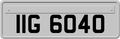 IIG6040