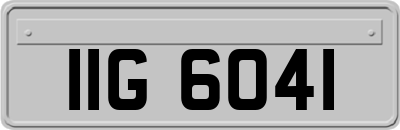 IIG6041