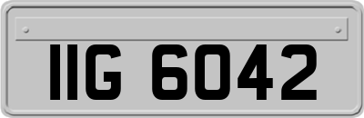 IIG6042