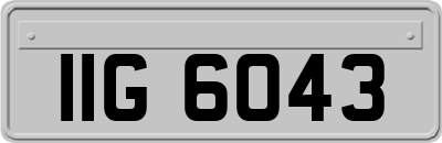 IIG6043