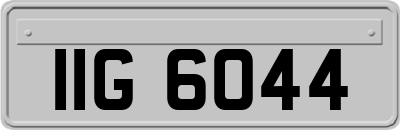 IIG6044