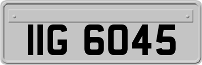 IIG6045