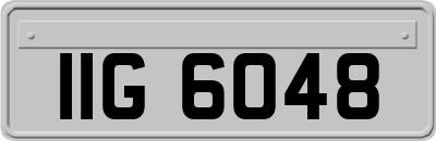 IIG6048