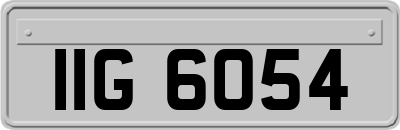 IIG6054