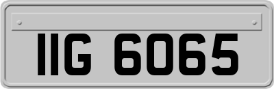 IIG6065