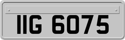 IIG6075