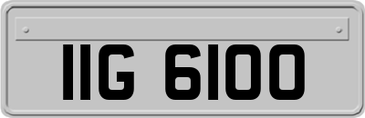 IIG6100