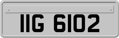 IIG6102