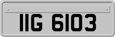 IIG6103