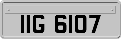 IIG6107