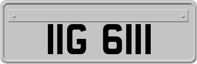 IIG6111