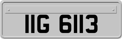 IIG6113