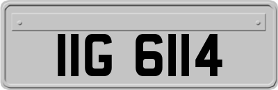 IIG6114