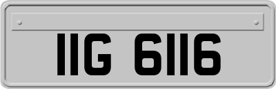 IIG6116