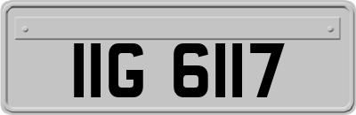 IIG6117