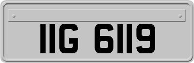 IIG6119
