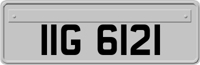 IIG6121