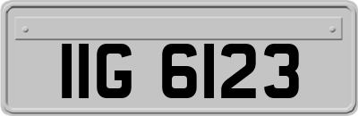 IIG6123