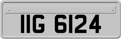 IIG6124