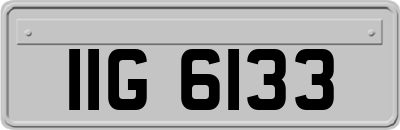 IIG6133
