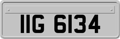IIG6134