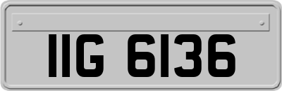 IIG6136
