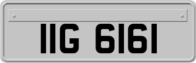 IIG6161