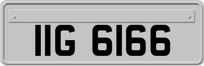 IIG6166