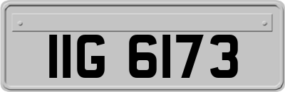 IIG6173