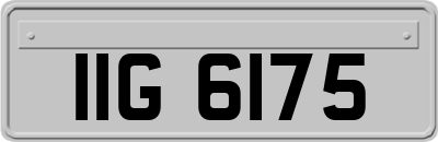 IIG6175