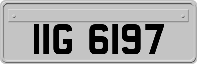 IIG6197