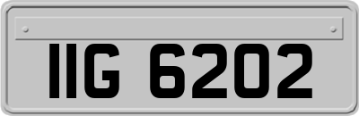 IIG6202