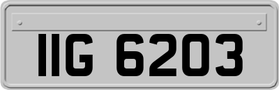IIG6203